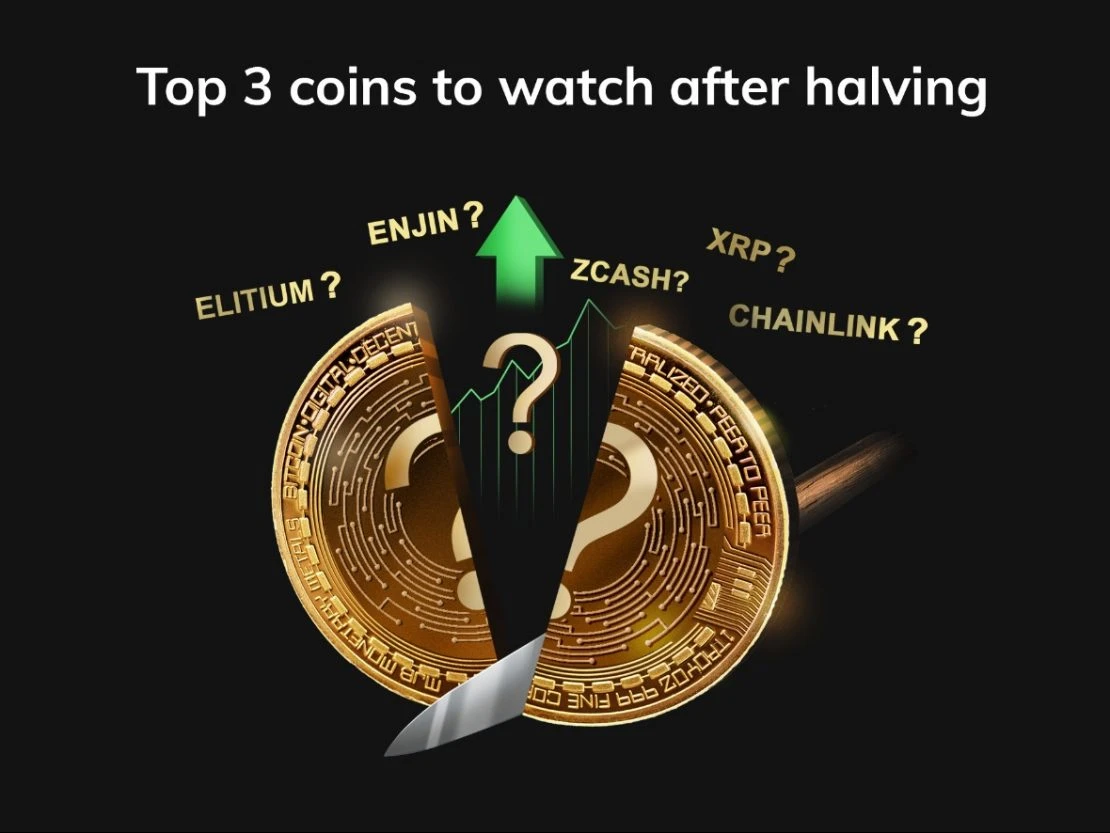 Elitium-coins-invest-halving